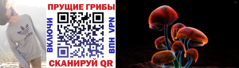 купить  цена  Бабаево  Псилоцибиновые грибы Magic Shrooms 